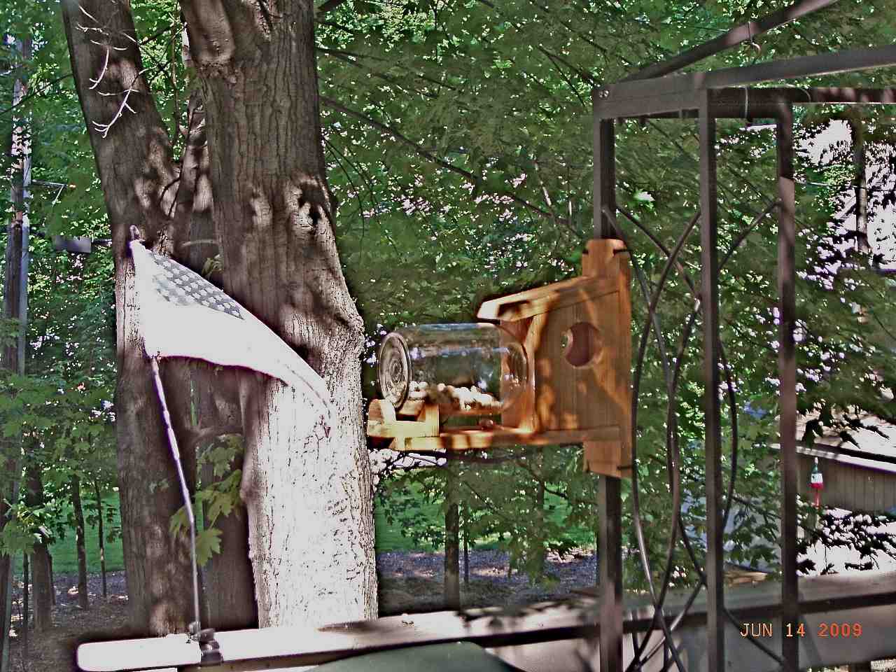 Squirrel Box